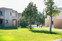 recently watched image