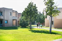 recently watched image