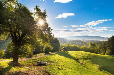 Bewaren EKO Appartementen Resort Snovik