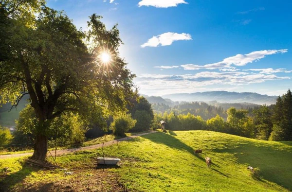 Bewaren EKO Appartementen Resort Snovik