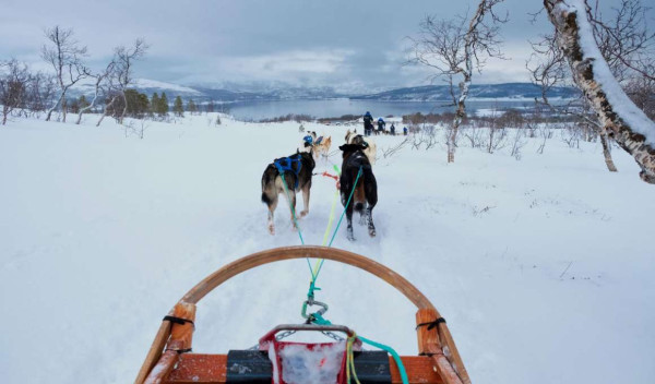 Noorderlicht in Tromsø