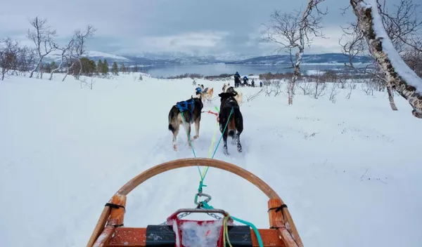 Noorderlicht in Tromsø