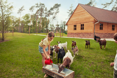 Terhills Resort by Center Parcs