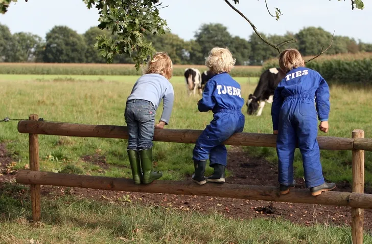 Kinderactiviteiten