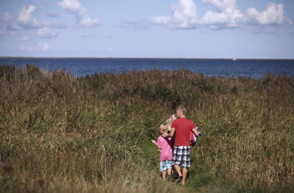 Vakantiepark Danland Bork Havn - Norre Bork