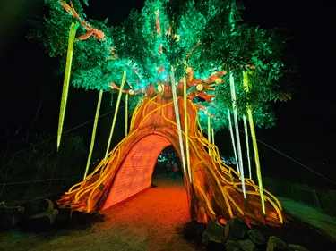 Beleef de magie van Light Safari Beekse Bergen