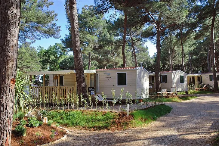 Glamping