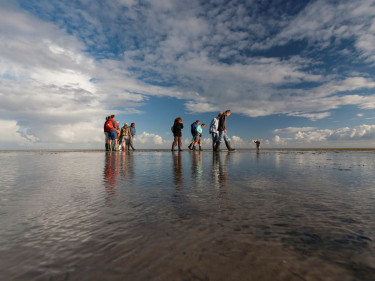 Landal Waterpark Elfstedenhart