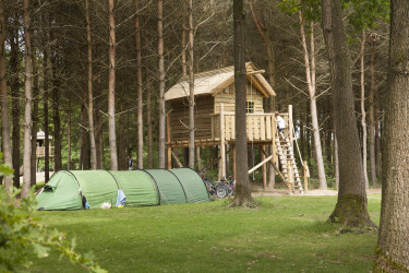 de-flaasbloem (3).jpg