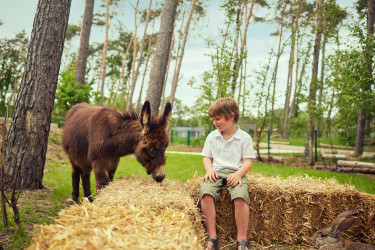 Terhills Resort by Center Parcs