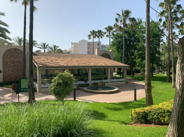 Protur Safari Park Mallorca (26).jpg