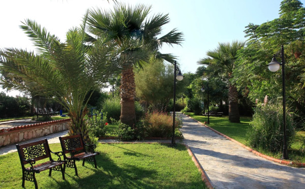 Cactus Hotel Club Paradise