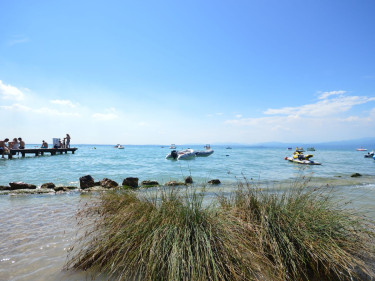 Camping Park Delle Rose