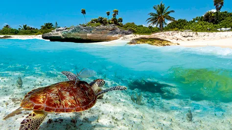 Winterzon in Mexico 