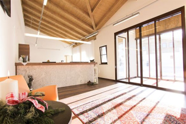 Alpenchalets Flachauer Gutshof