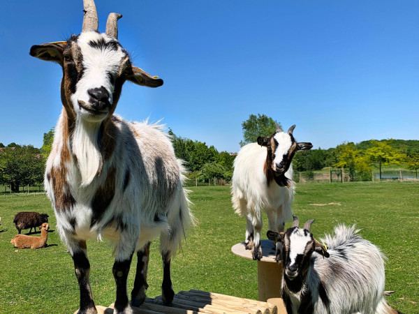 Campanile Val de France (voorheen Kyriad Hotel)