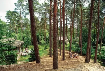 Overnachten in een Bungalow op de Veluwe
