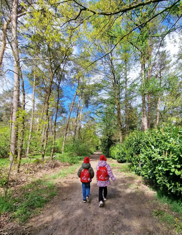 Wat zijn de leukste activiteiten met kleine kinderen in Gelderland?