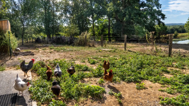 La Ferme de Fontenille