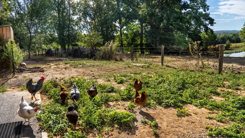 La Ferme de Fontenille