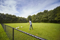 recently watched image