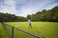 recently watched image