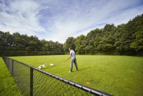 Vakantie met de hond bij De Leistert