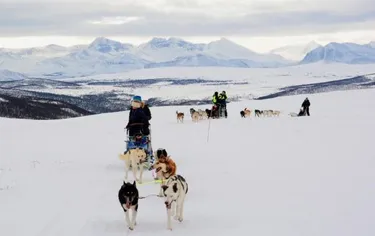 Noorderlicht in Tromsø