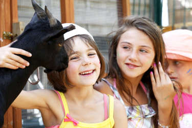 Domaine de la Dragonnière