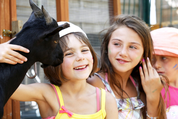 Domaine de la Dragonnière