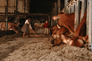 BoerenBed Hoeve den Overdraght