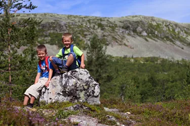 17-daagse autorondreis 'Nils' door Zweden