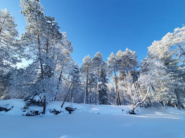 Wintersport met kinderen