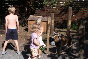 Vakantiepark Øster Hurup