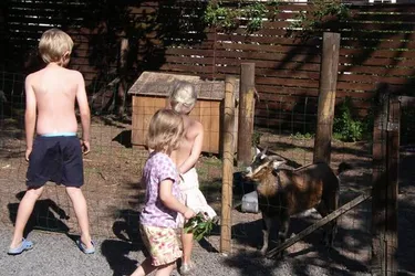 Vakantiepark Øster Hurup