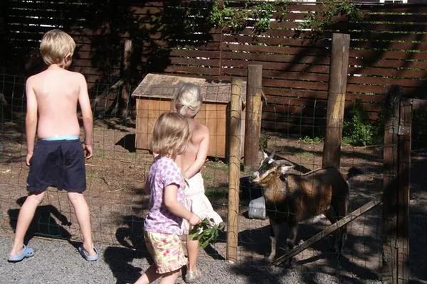 Vakantiepark Øster Hurup