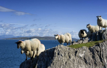 11- of 12-daagse meivakantie Ierland