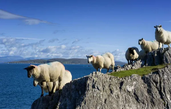 11- of 12-daagse meivakantie Ierland