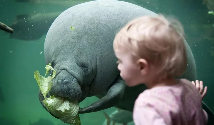 Kinderactiviteiten