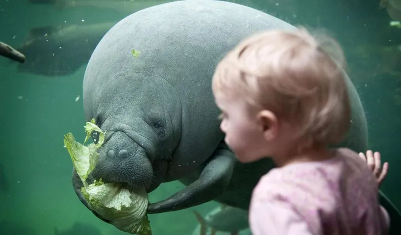 11-/12-daagse autorondreis 'Bente' door Denemarken