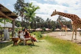 Moeder en dochter genieten op het terras van hun luxe lodge van het uitzicht op een giraffe bij Safari Resort Beekse Bergen