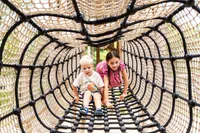 recently watched image