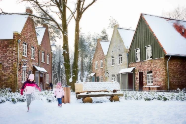 Dorpshuys - In de sneeuw - kleiner formaat.jpg