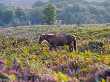 Landal Marwell Resort