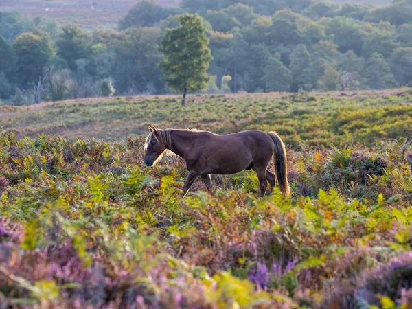 Landal Marwell Resort