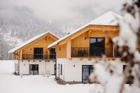 recently watched image