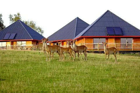 Cerza Safari Lodge