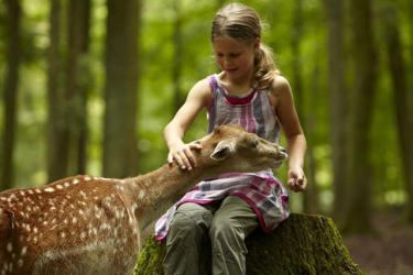 Vakantiepark Tripsdrill