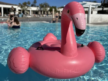 Baby Lanzarote - flamingo.jpg