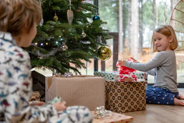 TIP! Laat een kerstboom bezorgen bij Center Parcs